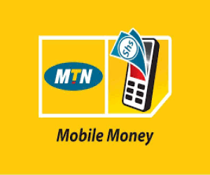 Mobile Money